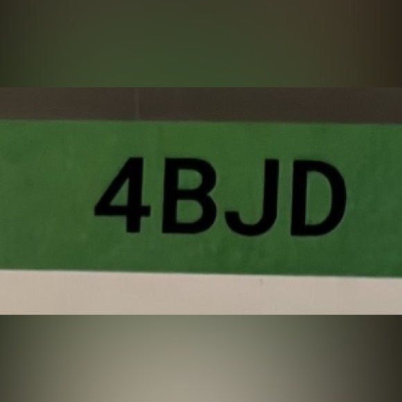 Tinseltown Lace Denim Shorts - Picture 5 of 5